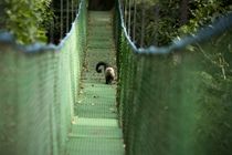 Buena Vista Lodge & Adventure Γκουανακάστε Εξωτερικό φωτογραφία